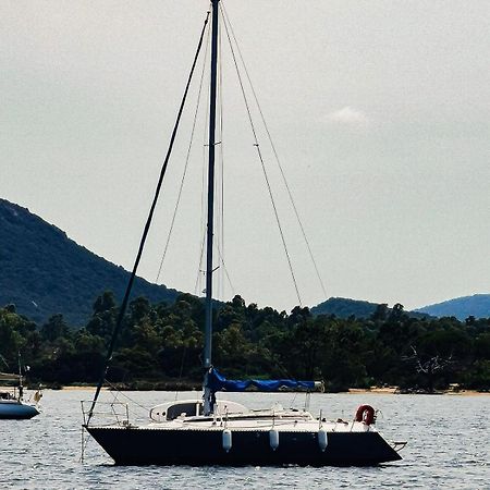 stlocavoile Seuls à bord au port Porto-Vecchio (Corsica) Exterior foto